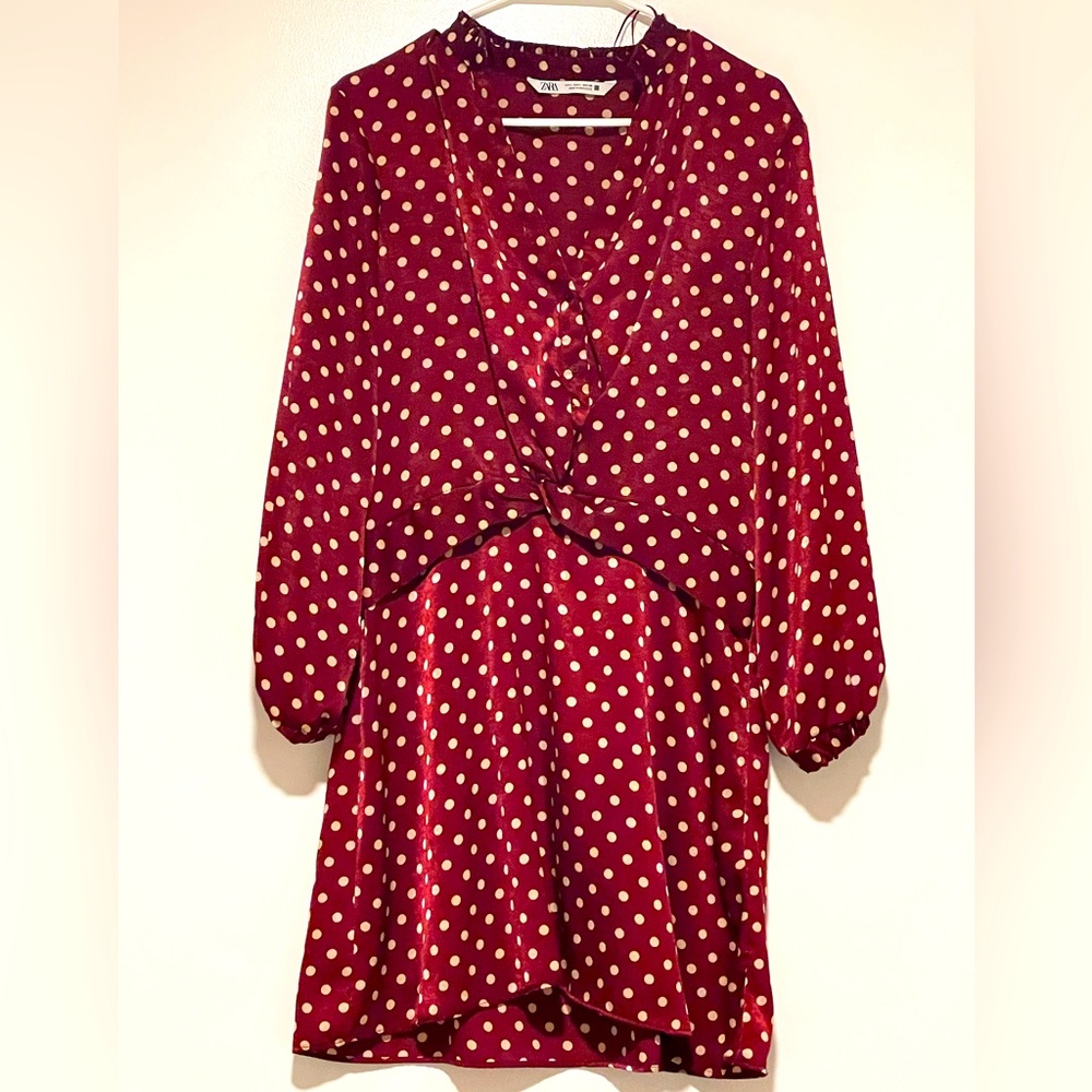 Perfect Fall Zara dress size Large